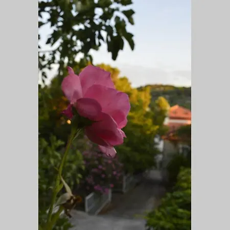 Private Studio Apartment With A Garden And A Terrace Tisno Exterior photo