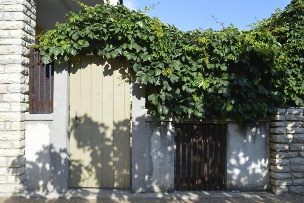 Private With A Garden And A Terrace Apartment *