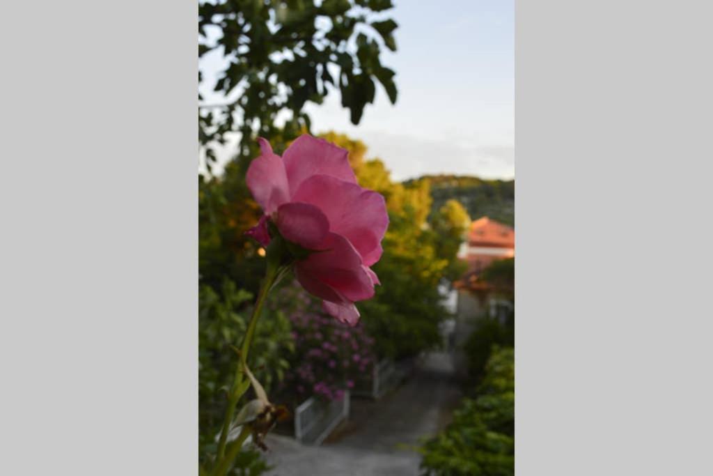 Private With A Garden And A Terrace Tisno